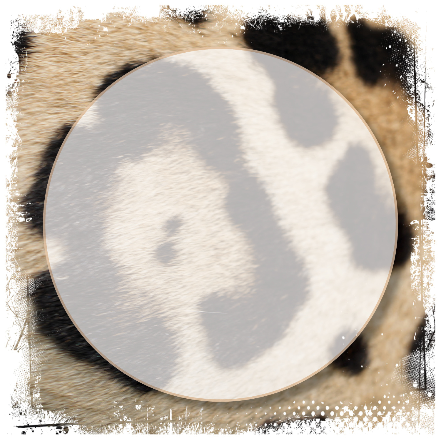 SFC-Zoo_horaire-simple