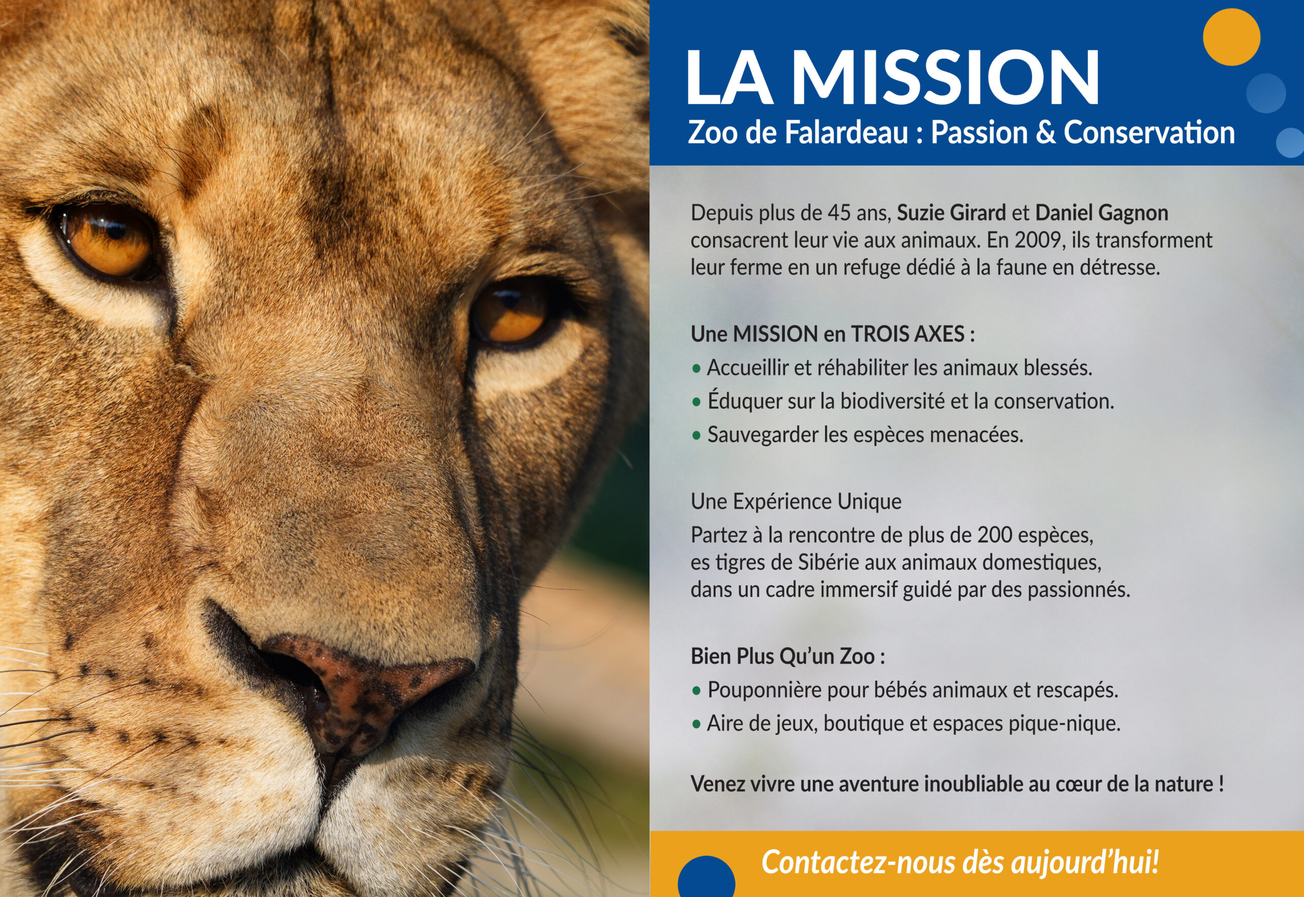 SFC_ZOOFALARDEAU-mission-siteinternet
